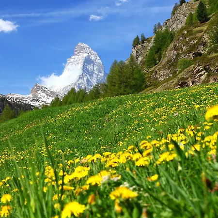 Les Violettes-4 By Interhome Zermatt