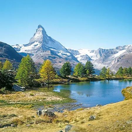 Apartman Les Violettes-4 By Interhome Zermatt